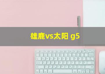 雄鹿vs太阳 g5